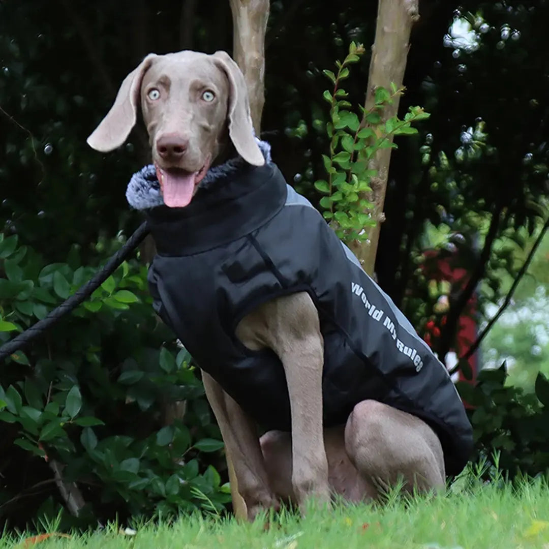 Waterproof Dog Coat for Large Dogs, Warm Reflective Winter Jacket
