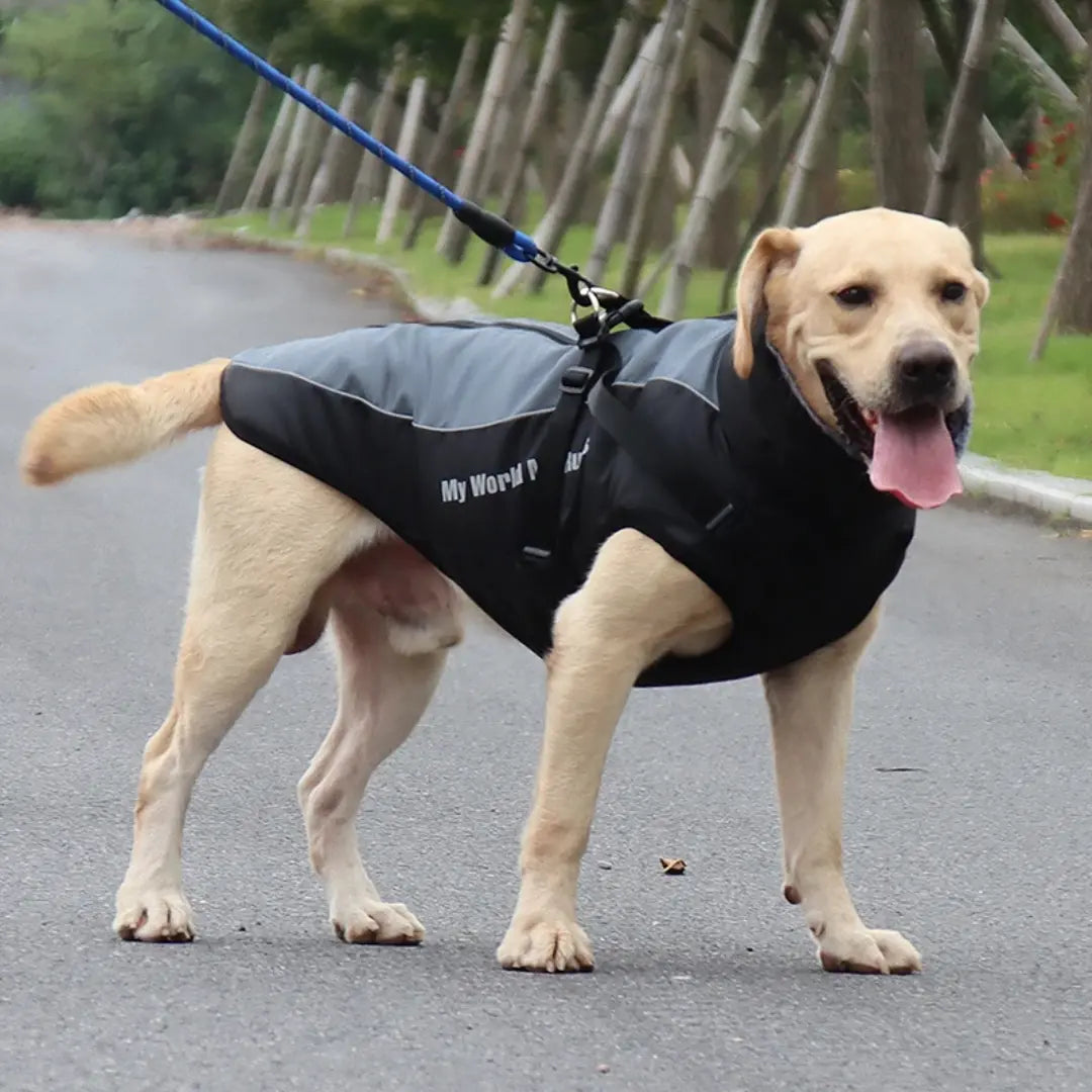 Waterproof Dog Coat for Large Dogs, Warm Reflective Winter Jacket