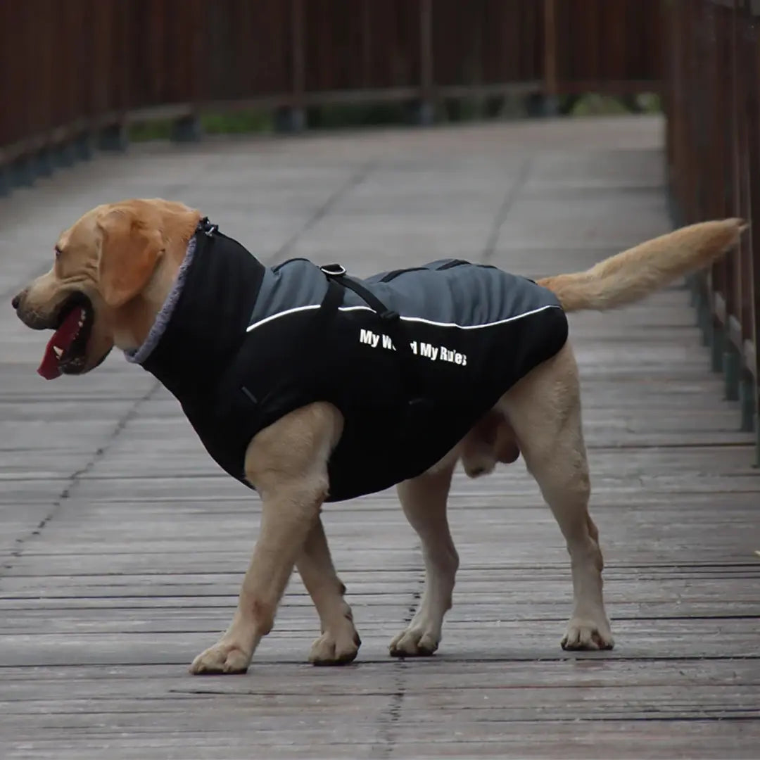 Waterproof Dog Coat for Large Dogs, Warm Reflective Winter Jacket