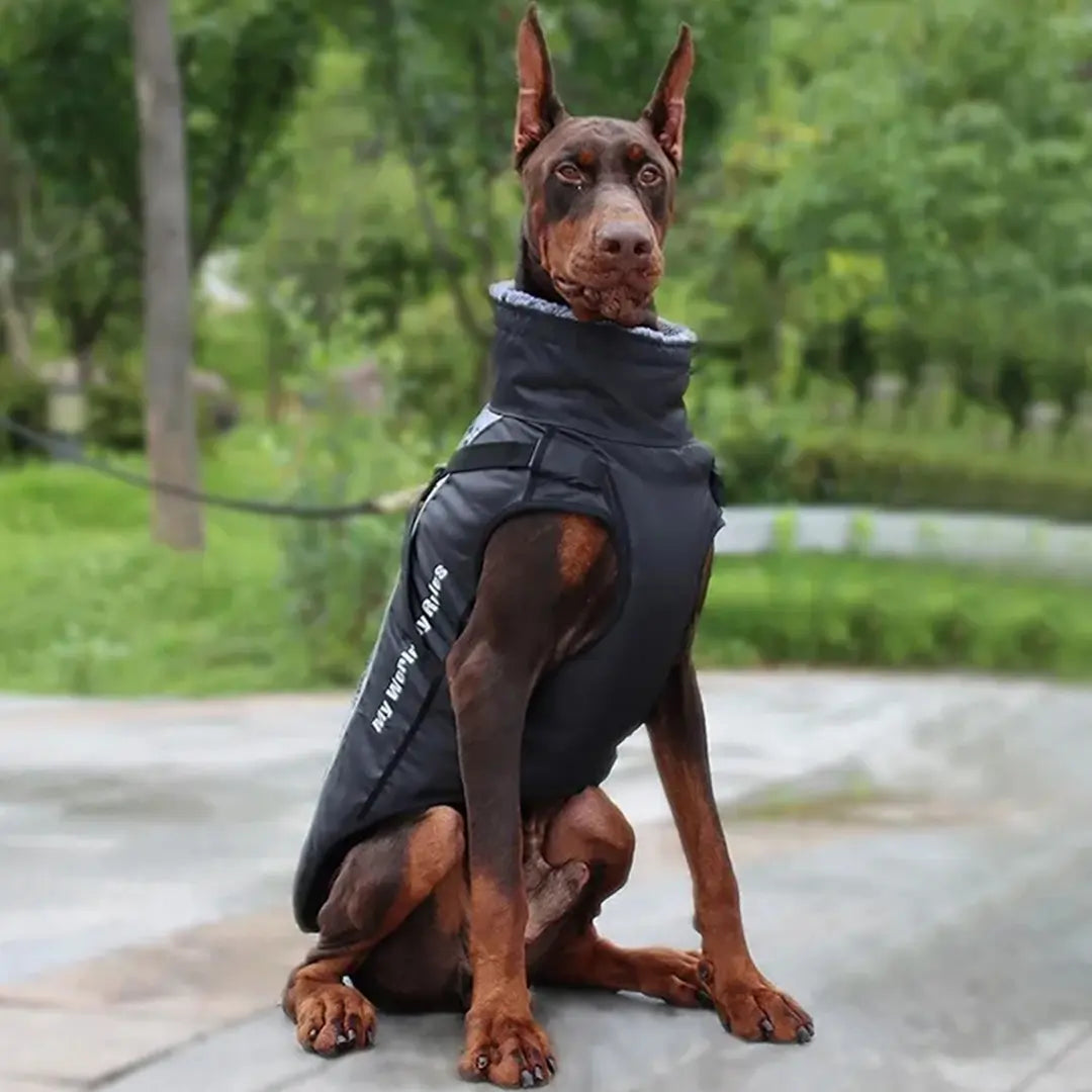 Waterproof Dog Coat for Large Dogs, Warm Reflective Winter Jacket