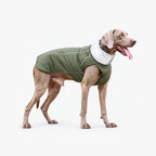 Waterproof Dog Coats for Small, Medium & Large Dogs - Reflective Padded Winter Jacket