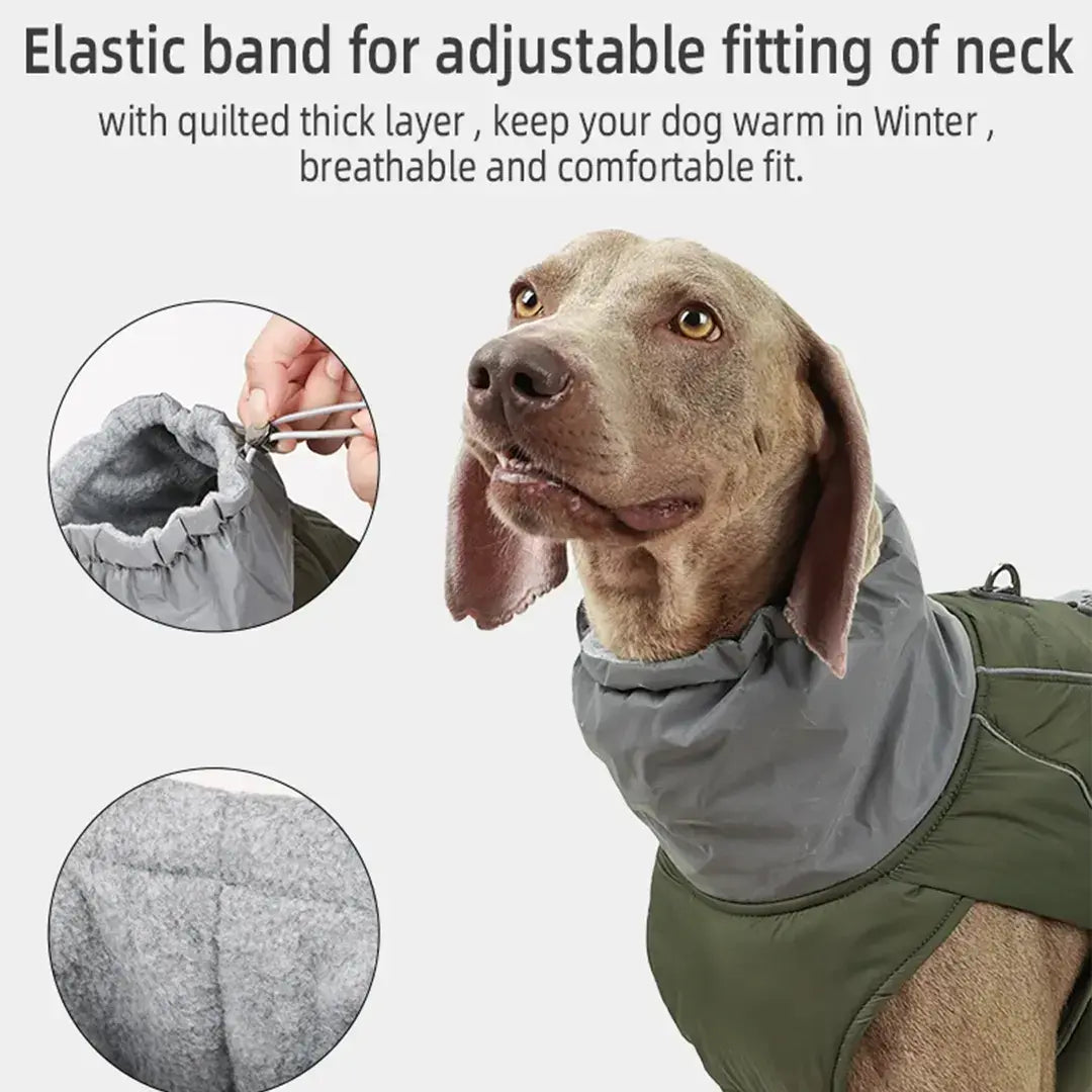 Waterproof Dog Coats for Small, Medium & Large Dogs - Reflective Padded Winter Jacket
