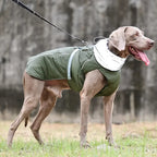 Waterproof Dog Coats for Small, Medium & Large Dogs - Reflective Padded Winter Jacket