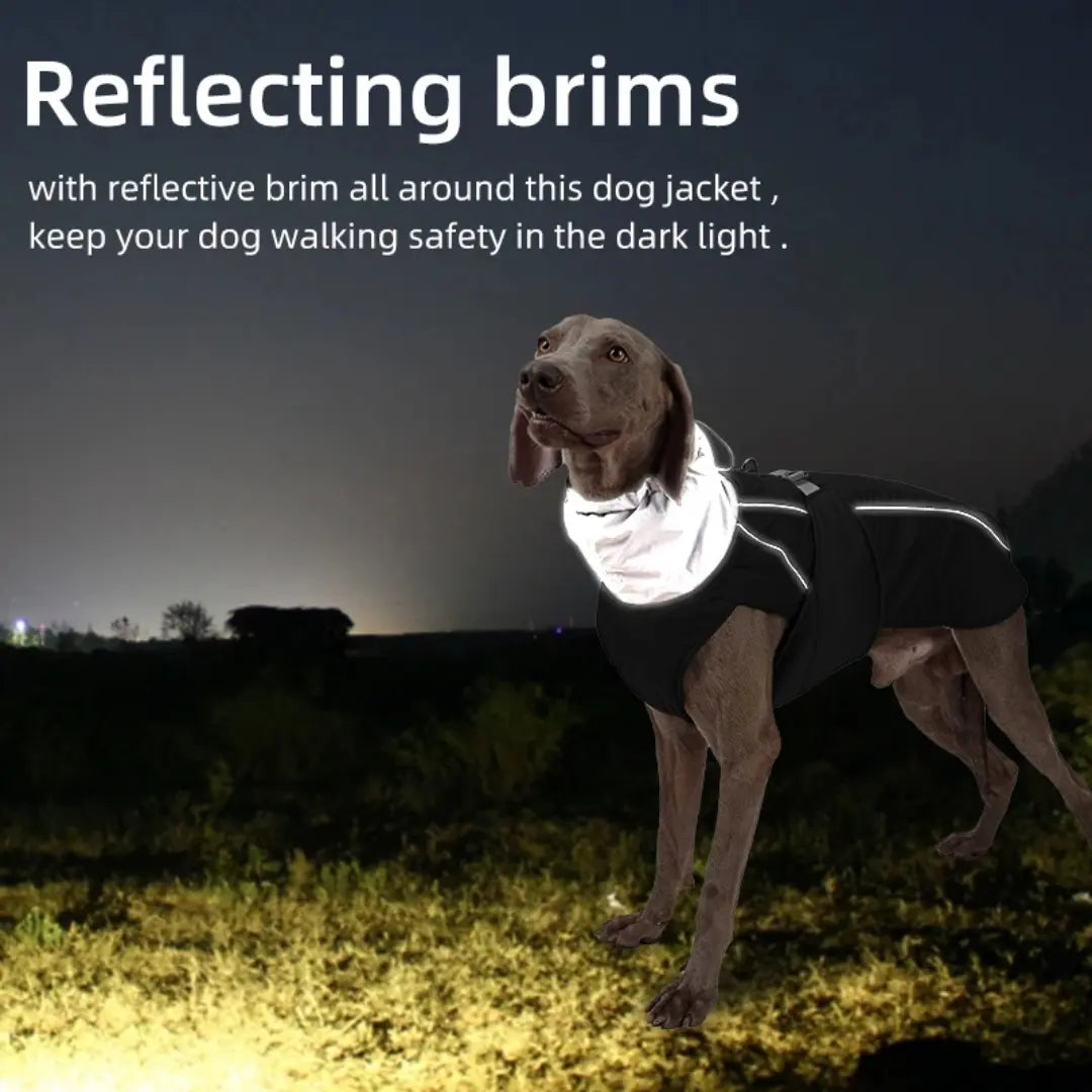 Waterproof Dog Coats for Small, Medium & Large Dogs - Reflective Padded Winter Jacket