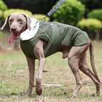 Waterproof Dog Coats for Small, Medium & Large Dogs - Reflective Padded Winter Jacket