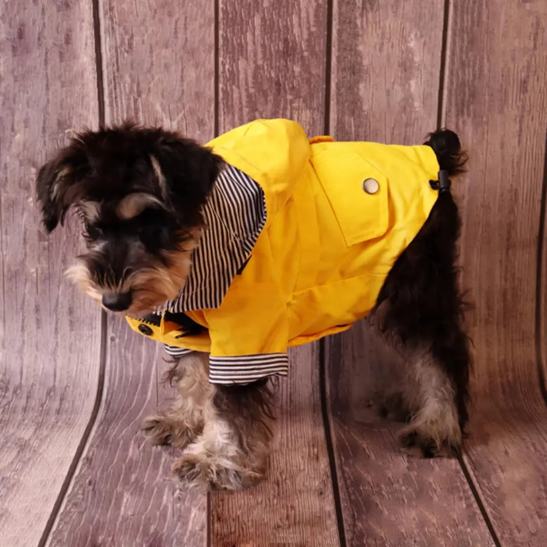 Yellow Waterproof Dog Raincoat for All Breeds, Hooded Windproof Jacket