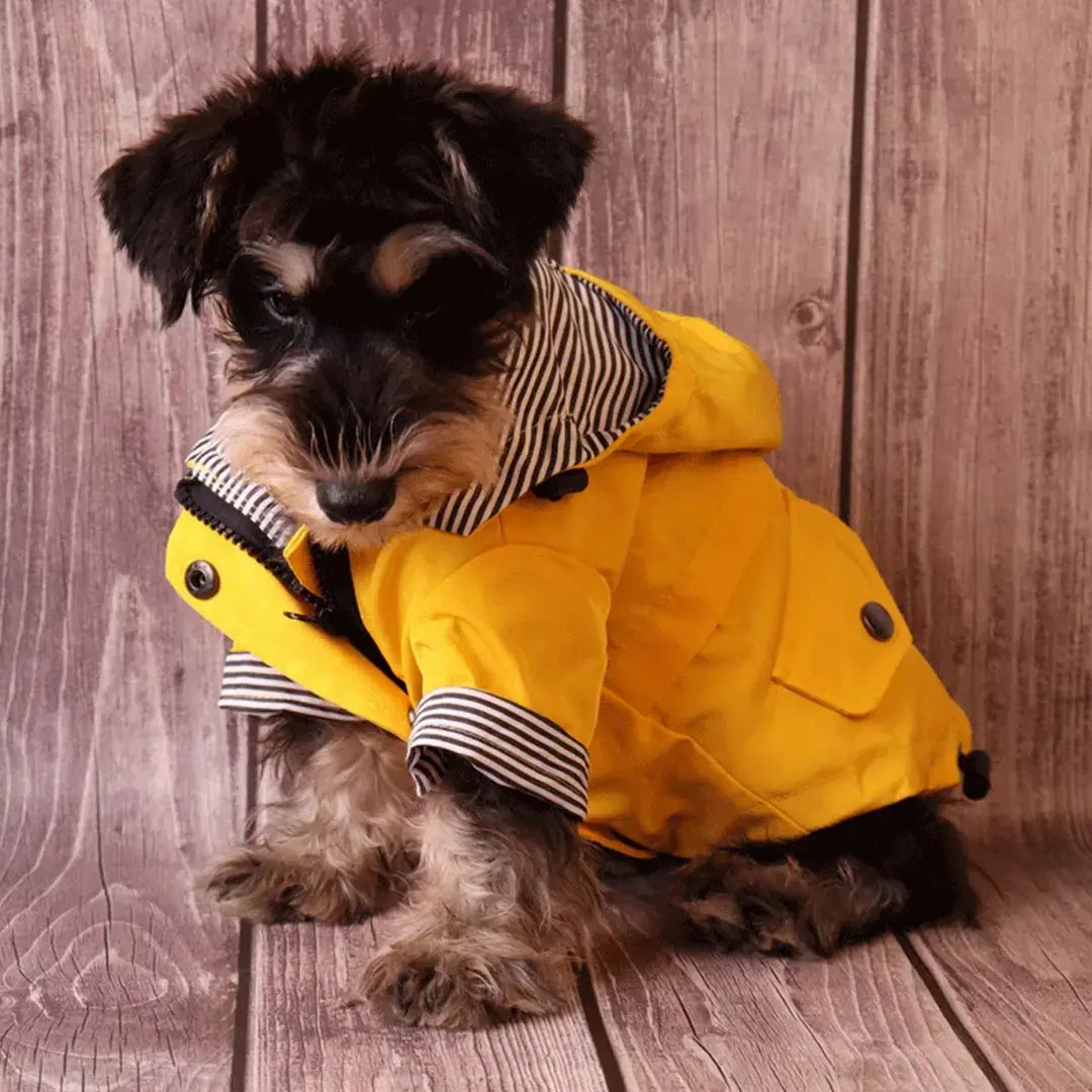 Yellow Waterproof Dog Raincoat for All Breeds, Hooded Windproof Jacket
