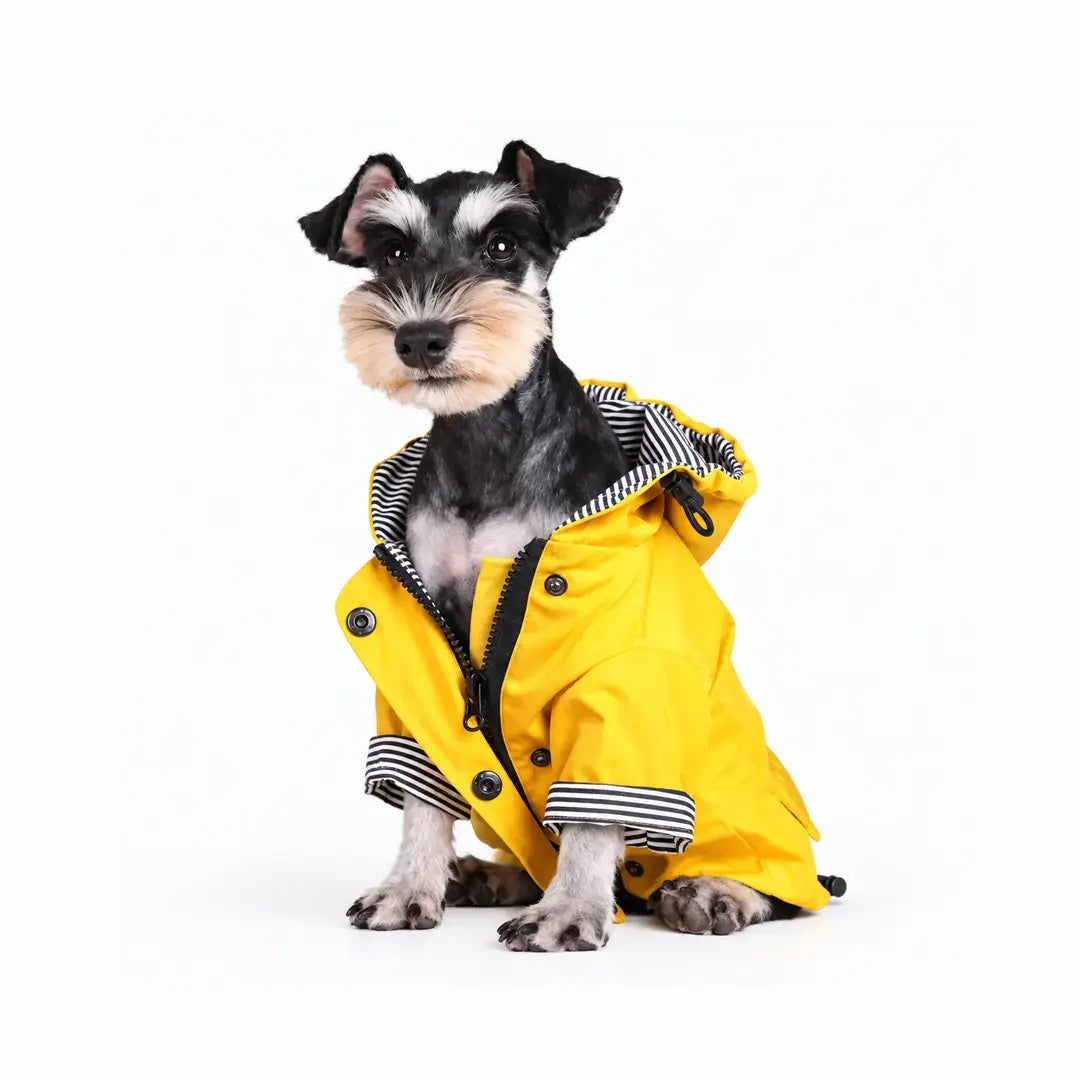 Yellow Waterproof Dog Raincoat for All Breeds, Hooded Windproof Jacket